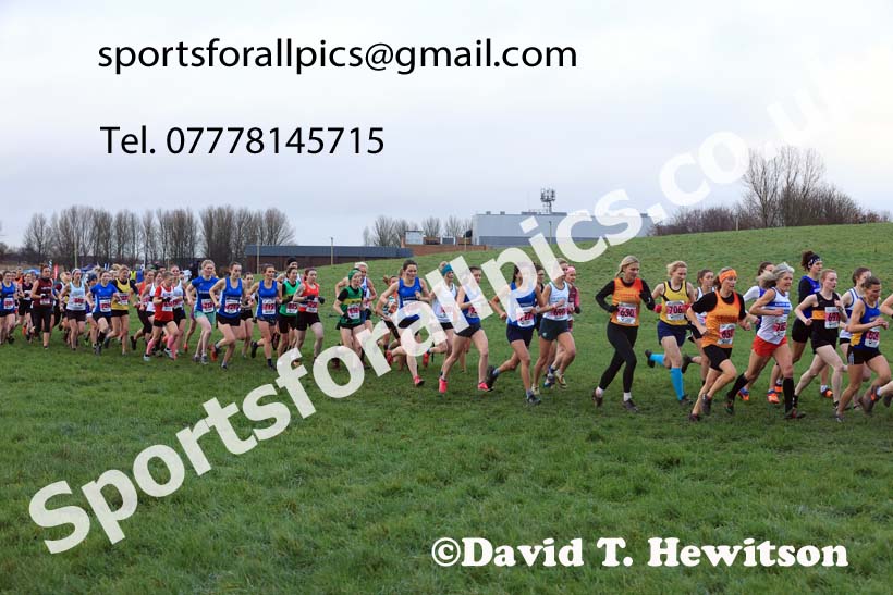 Senior womens 2023 North Eastern Cross Country Champs., Temple Park, South Shields. Photo: David T. Hewitson/Sports for All Pics